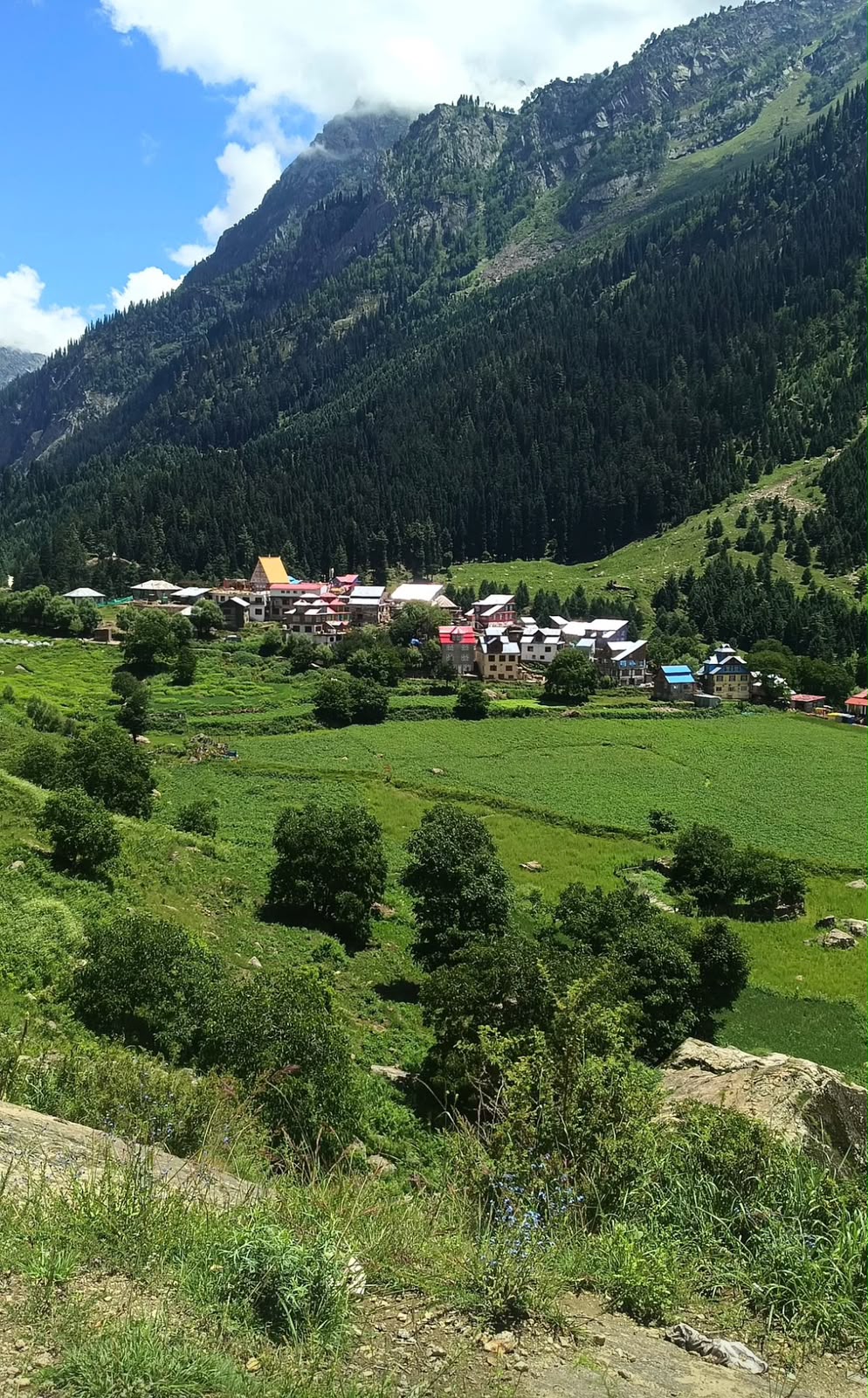 Paddar (Machail Mata), Kishtwar