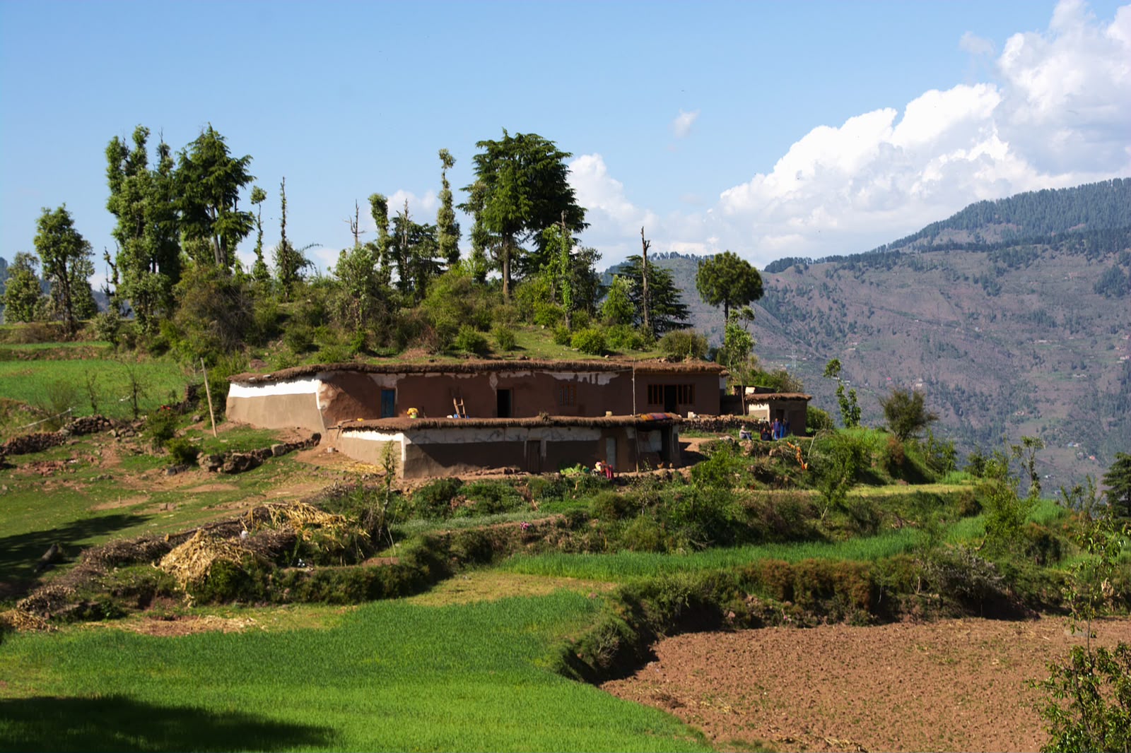 Panchari, Udhampur
